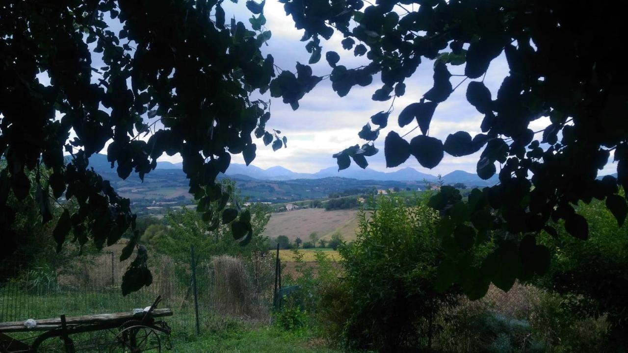 I Balzani B&B Matelica Extérieur photo